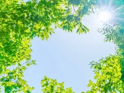 ふなこしスマイル保育園の写真