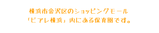 保育園の概要　説明